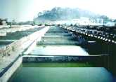 Fish ponds for farming gold fish 