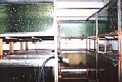 We have 1000 large fish tanks