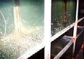 We have 1000 large fish tanks